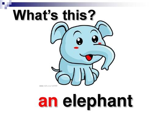 大象的英语